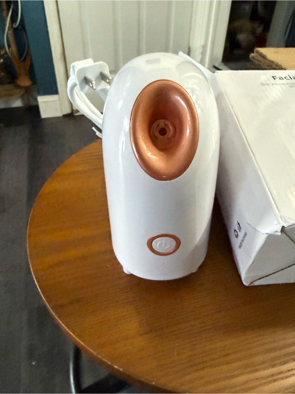 Facial Steamer Nebulizer in White and Rose Gold - Unbranded